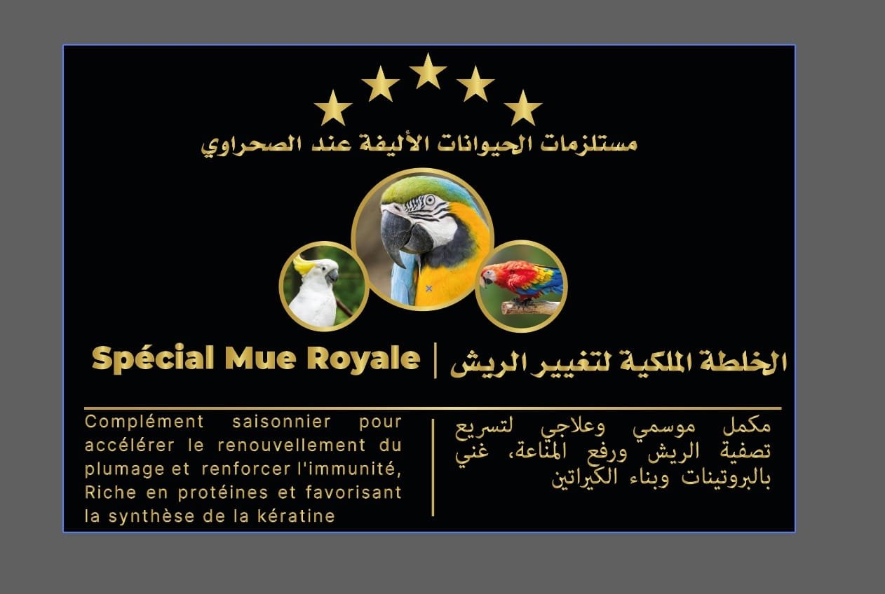 خلطات الصحراوي